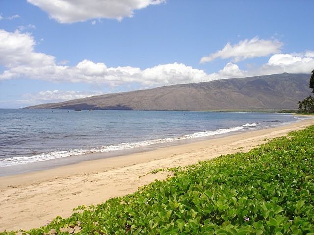 Ocean Front Location