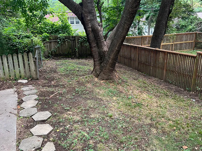 Beautiful back yard.