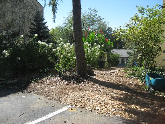 PATH TO LAKE SHORE DR.