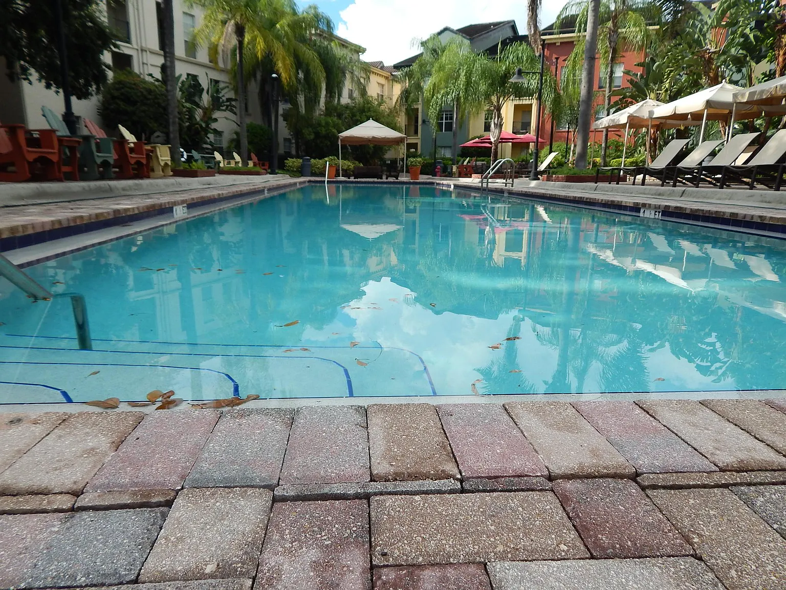 1 bed, 789 sqft, $1,750 — Photo 3