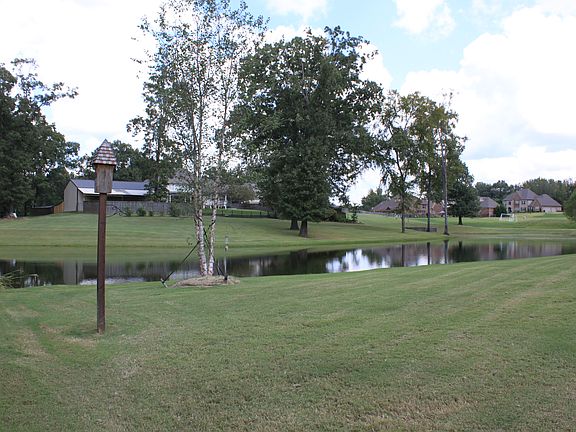 Back yard 3acre lake/pond