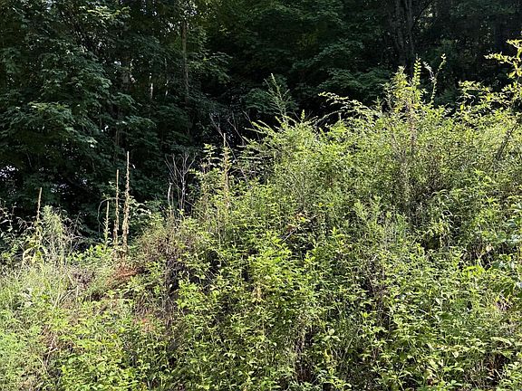 5th image of 115 Hughes Hollow Rd