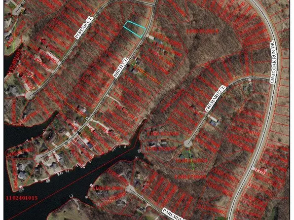 132 Birch Ct, Dahinda, IL 61428