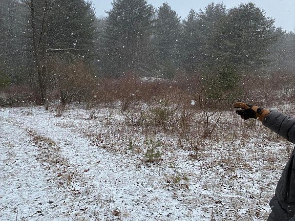 3rd image of State Route 2001 Rattlesnake Rd