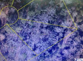 LOT 42 Magic Dr, Pamplico, SC 29583