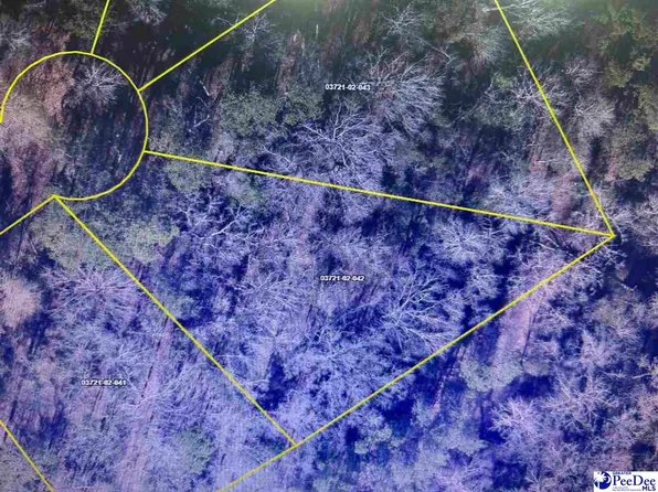 LOT 42 Magic Dr, Pamplico, SC 29583