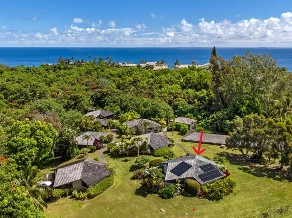 3890 Kamehameha Rd #1, Princeville, HI 96722