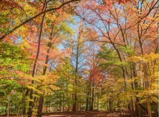 2.06 River Ridge Ln, Blue Ridge, GA 30513