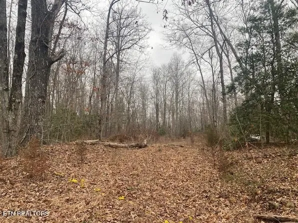 1 Rome Rd, Deer Lodge, TN 37726