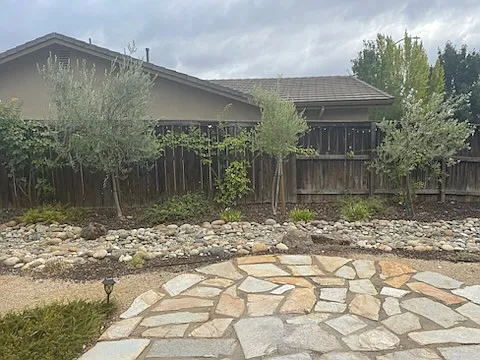 Back yard