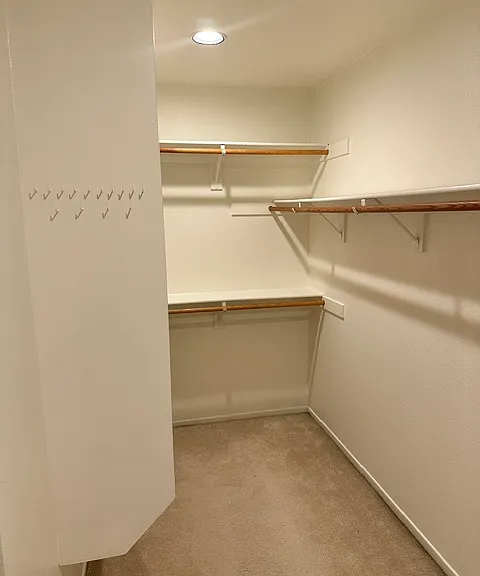 Primary walk-in closet. LOTS of space.
