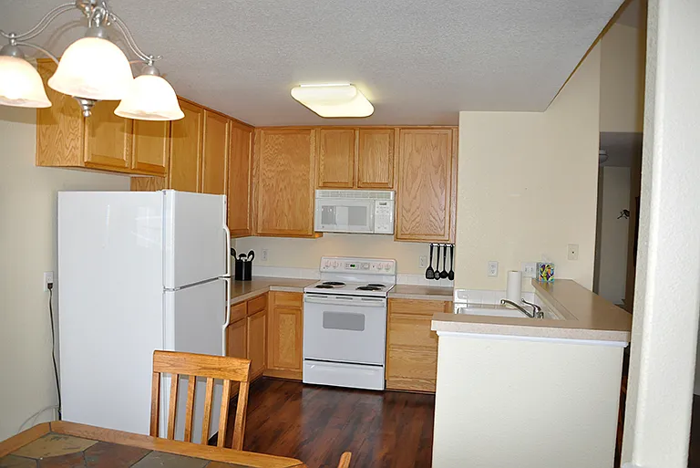 4605 Hahns Peak Dr #201 — Photo 8