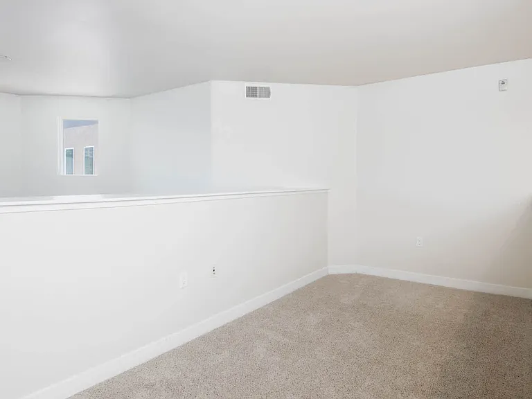 Carpeted Loft