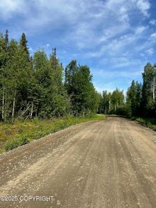 14000 E Wilderness Rim Rd, Willow, AK, 99688