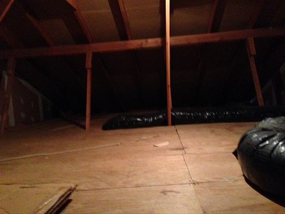 Empty Attic-Stand & Walk in