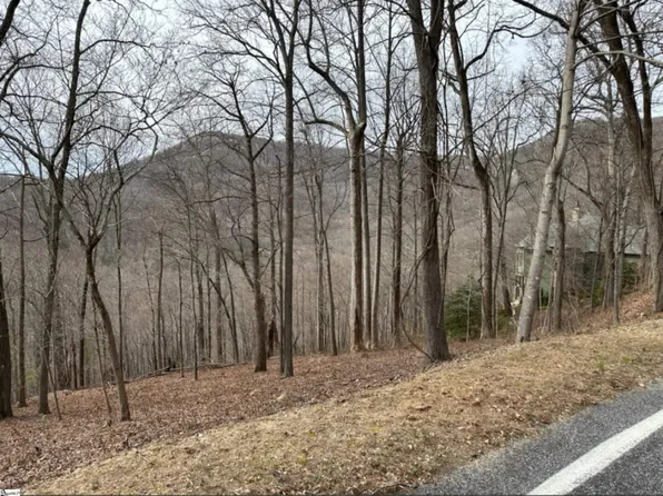 35 Grosbeak Way, Landrum, SC 29356