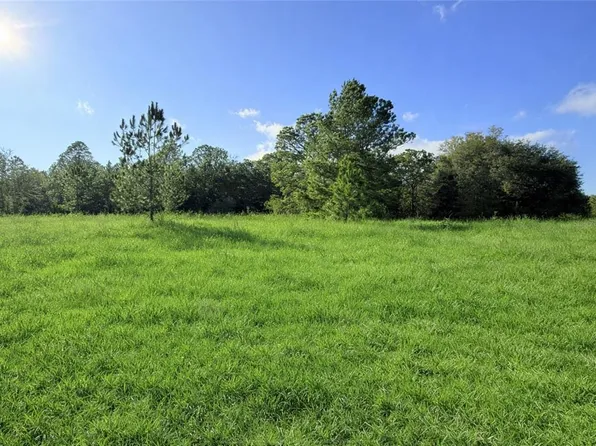SW Begonia Ct Lot 6, Dunnellon, FL 34431