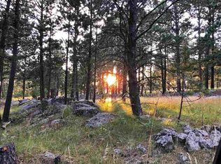 12100 Laramie Trl, Custer, SD 57730