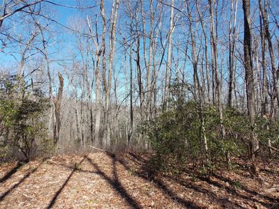 Raynolds Rdg, Lake Toxaway, NC, 28747