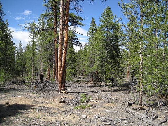 2nd image of 681 Peak View Dr