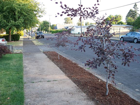 parking strip