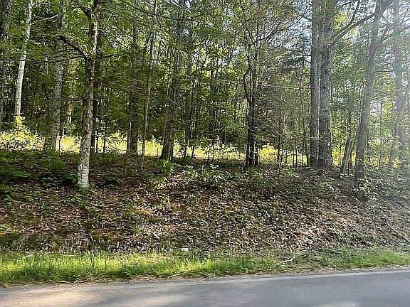 5th image of 0 Lower Gordon Springs Rd