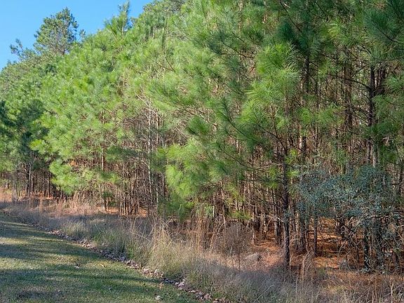 3rd image of 109 Drummonds Creek Lane LOT 11