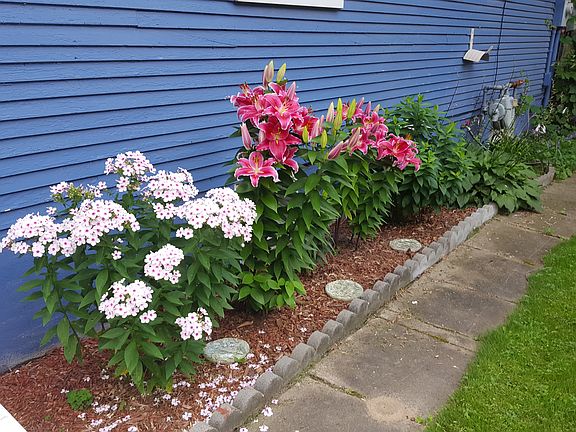 Year round flowers!
