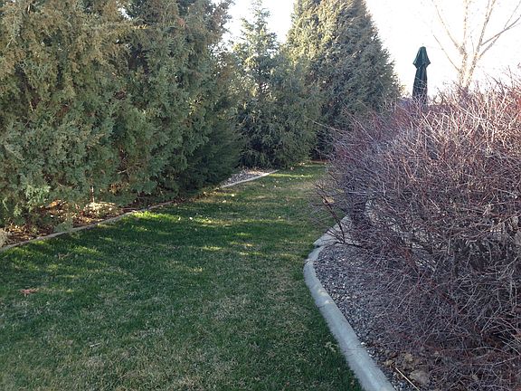 serene, private back yard