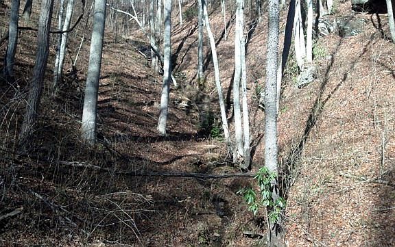 5th image of 151 Mountain Heritage Dr