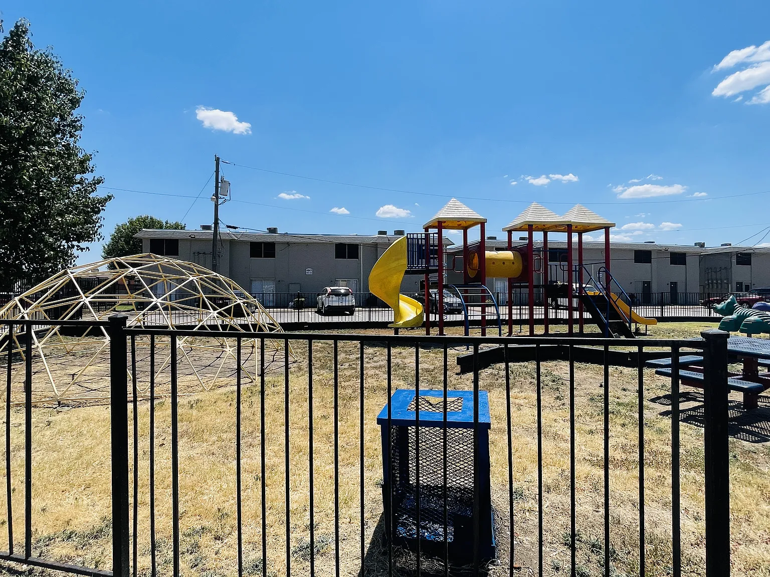 PTRF — Photo 2