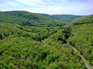 0 Finch Hollow Rd #1, Walton, NY 13856