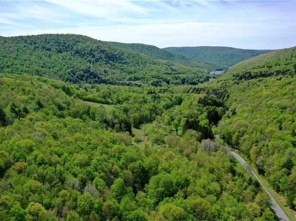 0 Finch Hollow Rd #1, Walton, NY 13856