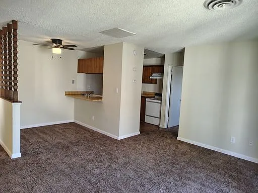 2401-013 Christmas Tree Ln #13 — Photo 7
