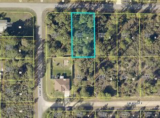 844 Cadis St E, Lehigh Acres, FL 33974