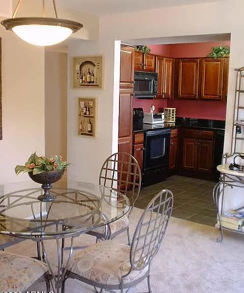 10055 E Mountainview Lake Dr #1056 — Photo 6