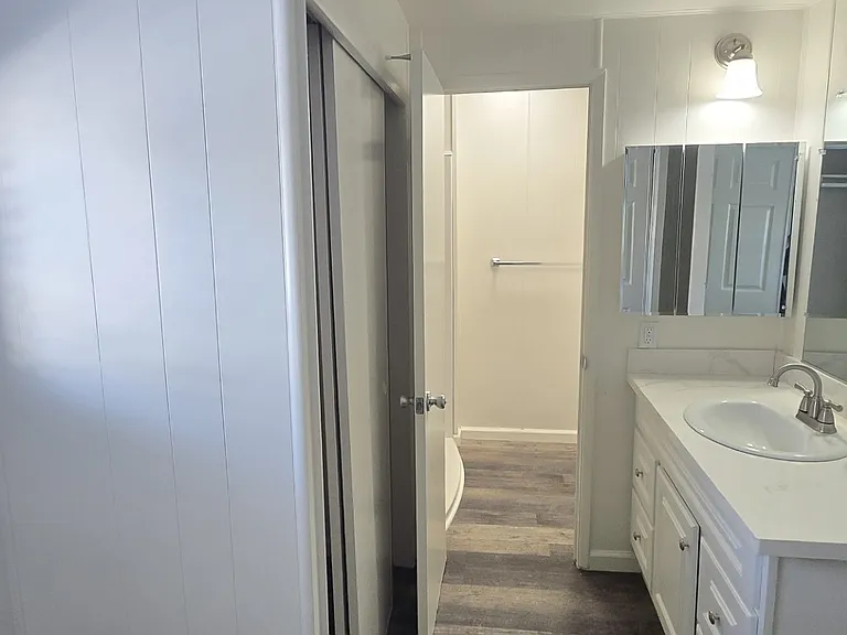 Primary Vanity