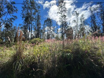 Road G Kele #Wao, Kurtistown, HI, 96760