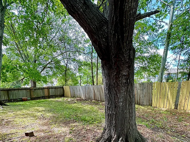 847 Pine Knoll Ct — Photo 4