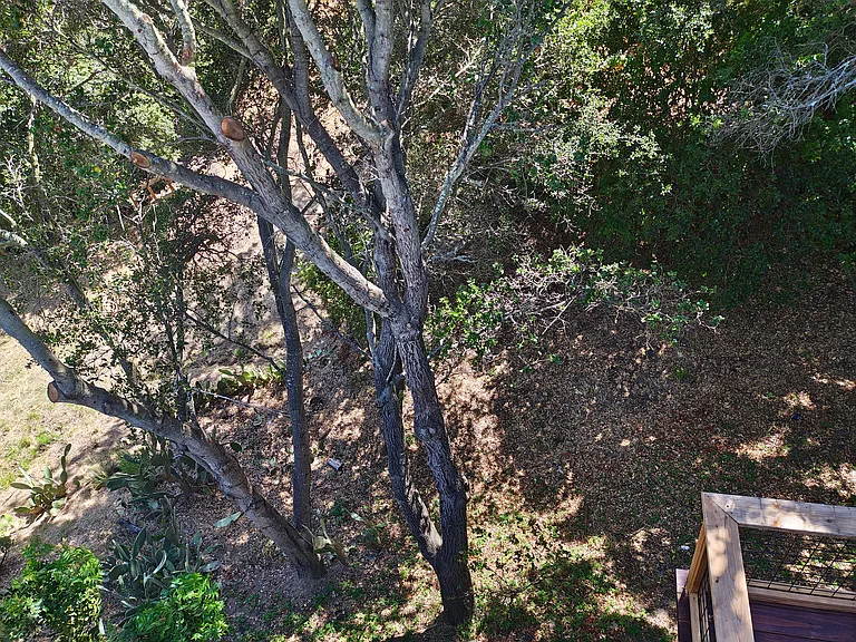 52 Olympia Way — Photo 46