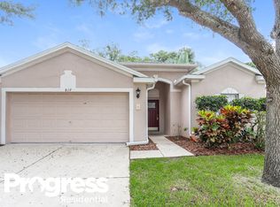 817 Parsons Pointe St, Seffner, FL 33584