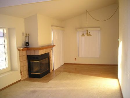 living room w/fireplace