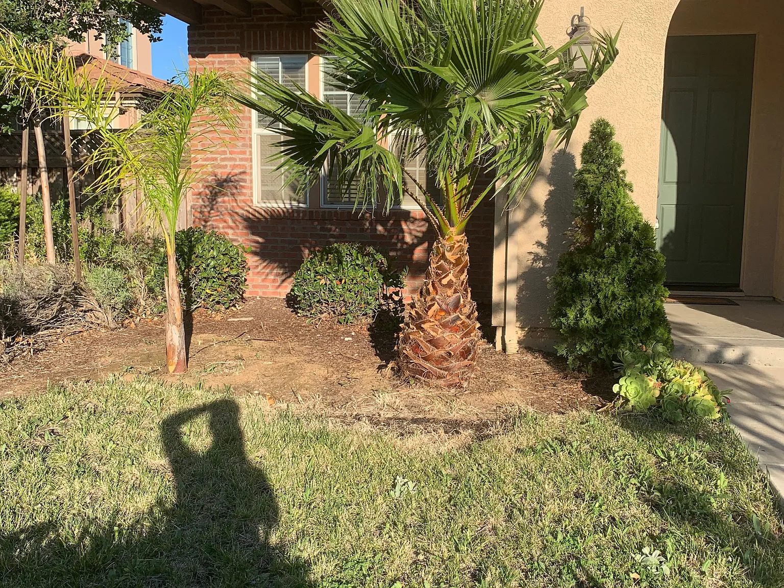 702 N San Marcos Dr — Photo 2