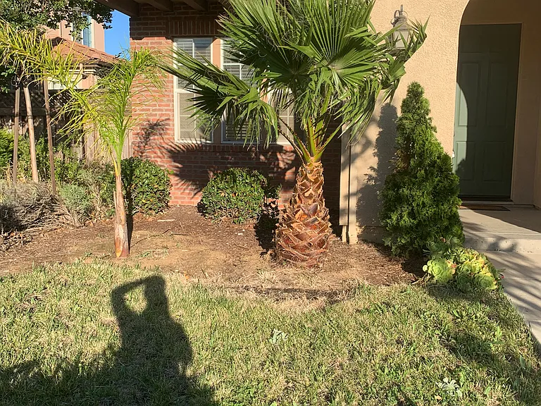 702 N San Marcos Dr — Photo 2