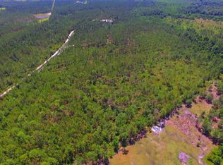 17 N Us Hwy, Pierson, FL 32180