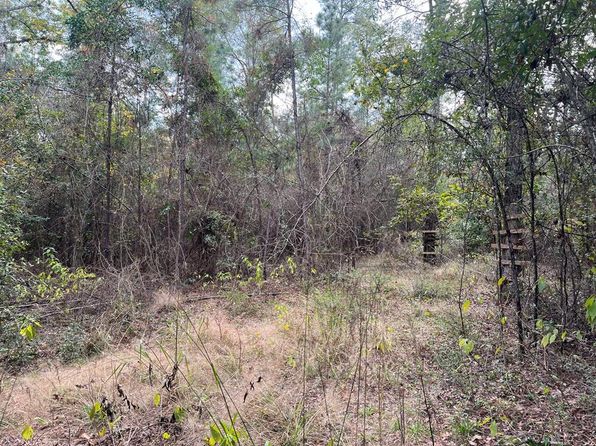400 County Road 1052, Wiergate, TX 75977