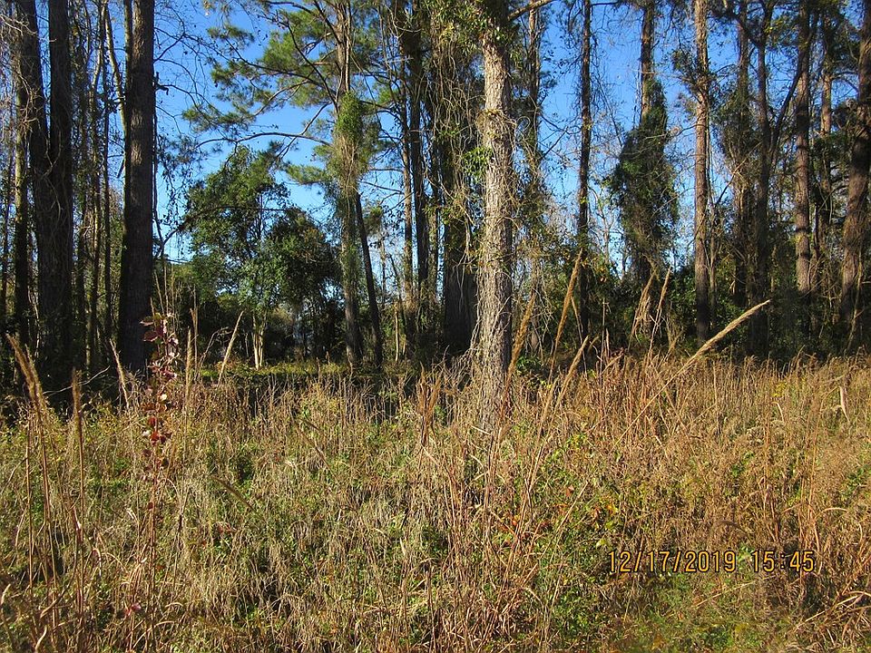 2nd image of 26 Ac Roosevelt St