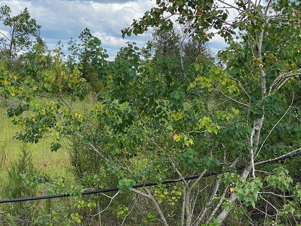 2nd image of 10809 S Bear Creek Rd