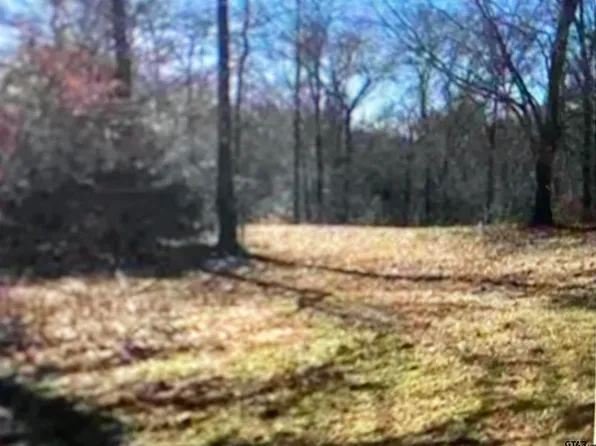 473 County Road 3608, Bullard, TX 75757