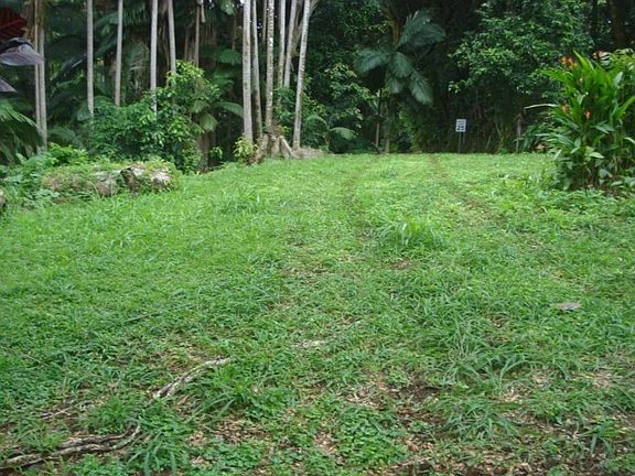 4th image of Old Mamalahoa Hwy Lot 1